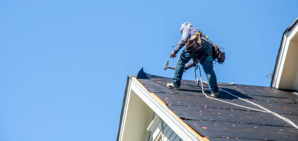 Best Roof Maintenance Services  in Memphis, MO